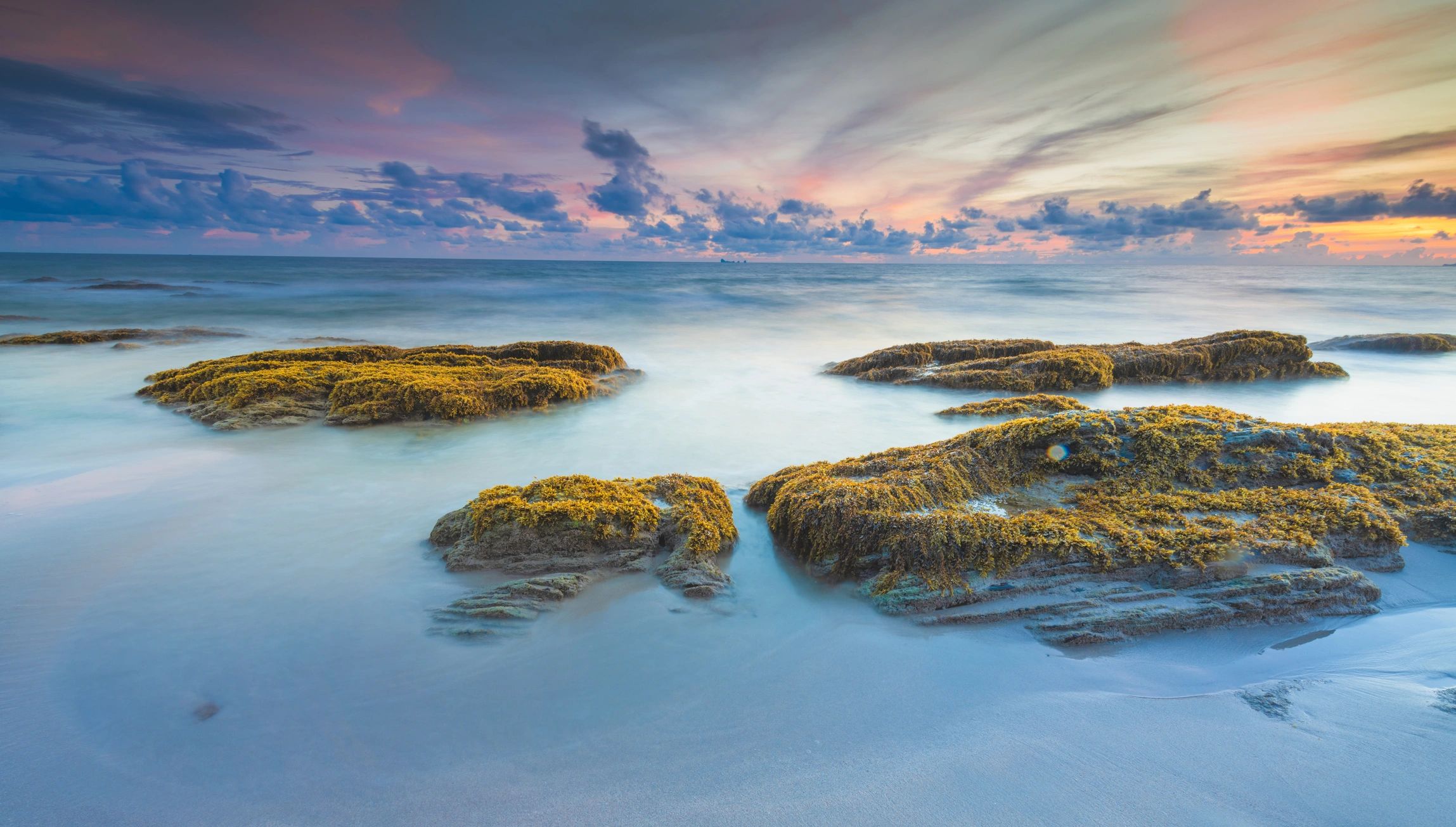 Tropical beach sunset used as a testimonial avatar image