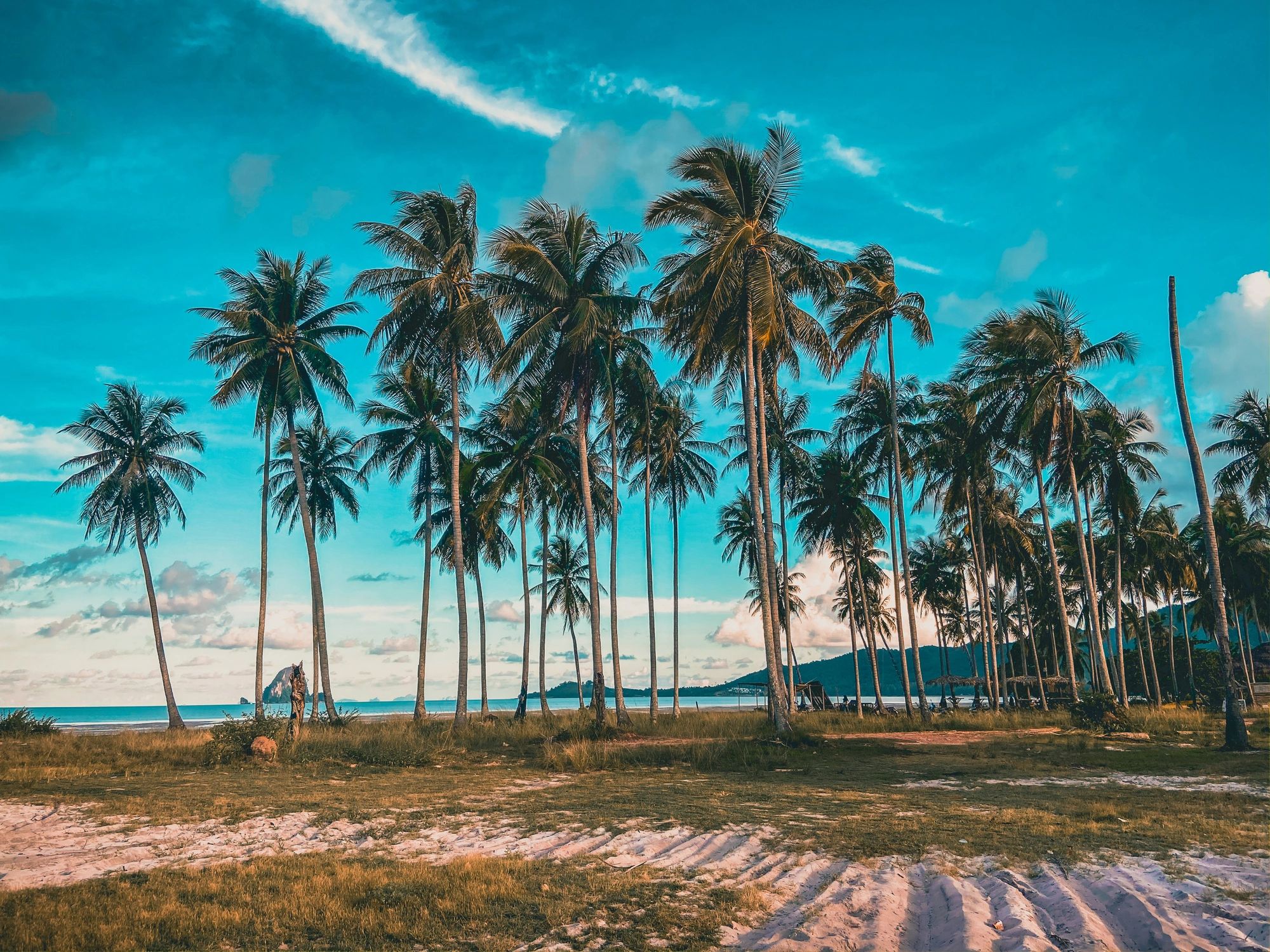 Palm-lined sandbar beach in southern Thailand